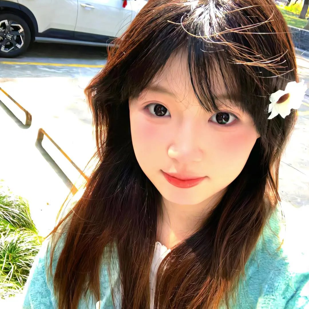 齐姆与友